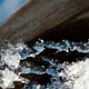 Illustration for article titled How to make water flow at 130 degrees below freezing